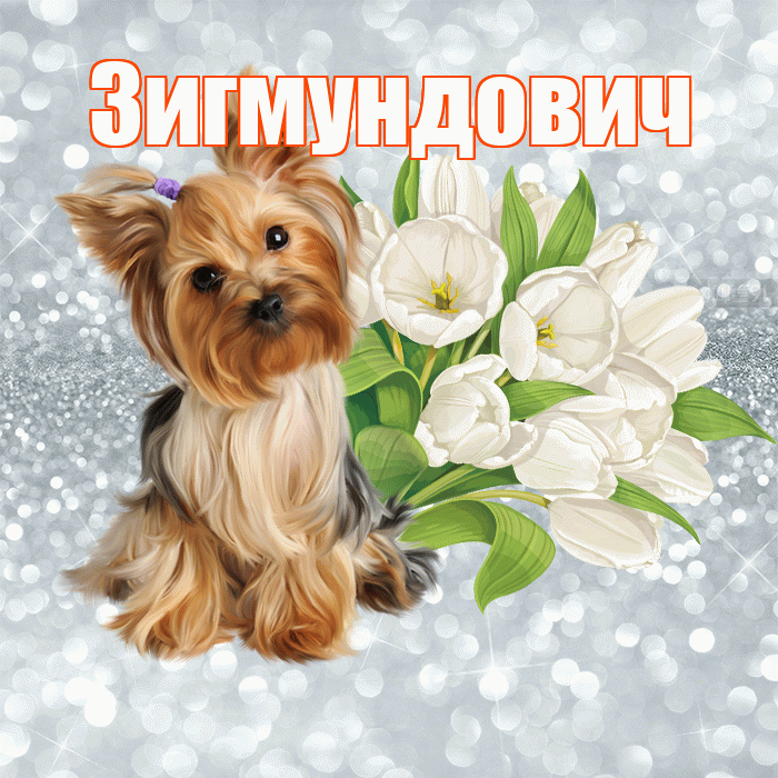 Зигмундович! С добрым утром! Красивая открытка Зигмундовичу!