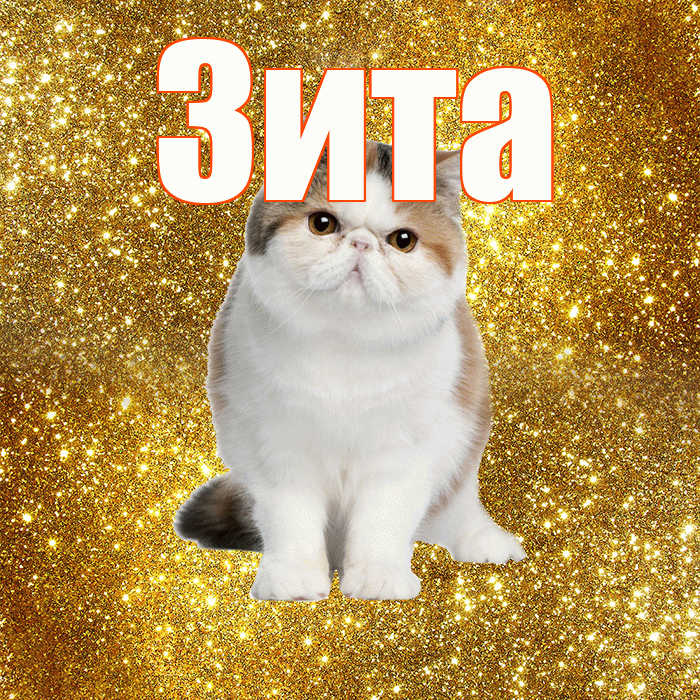 Зита! С добрым утром! Красивая открытка Зите!