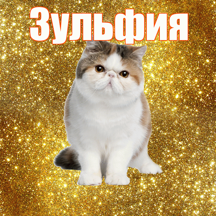 Зульфия! С добрым утром! Красивая открытка Зульфие!
