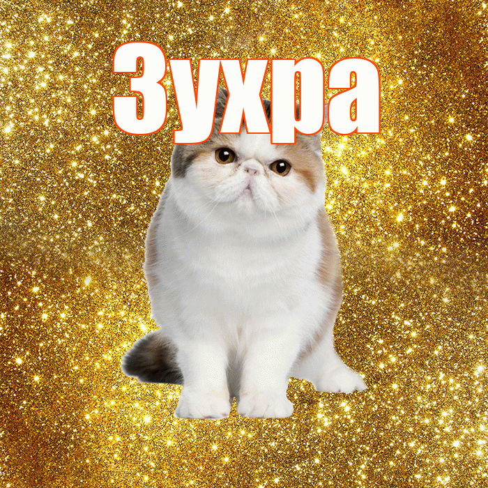 Зухра! С добрым утром! Красивая открытка Зухре!