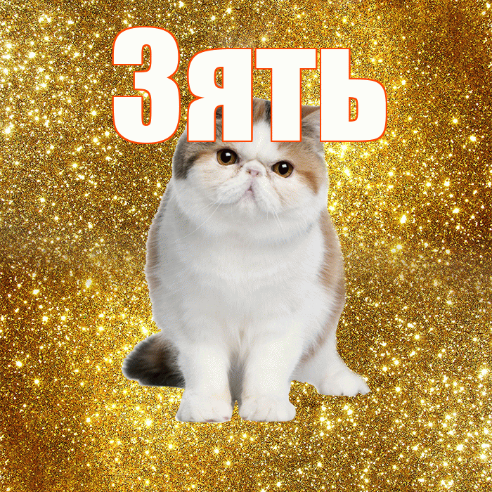 Зять! С добрым утром! Красивая открытка Зятю!