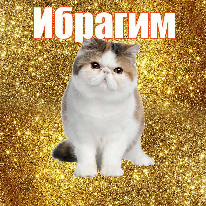 Ибрагим! С добрым утром! Красивая открытка Ибрагиму!