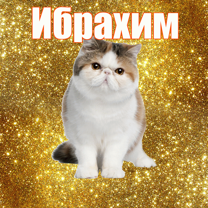 Ибрахим! С добрым утром! Красивая открытка Ибрахиму!