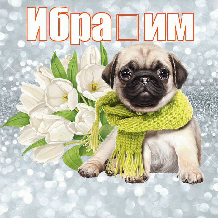 Ибра им! С добрым утром! Красивая открытка !