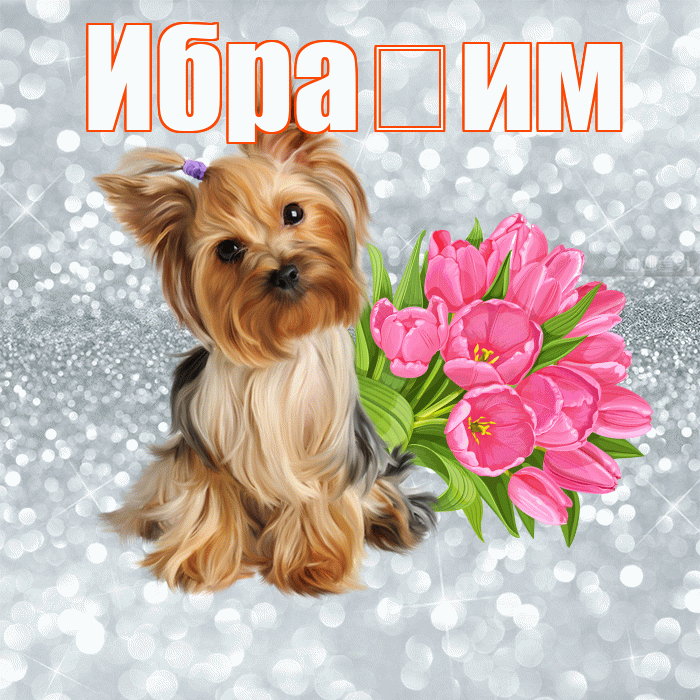Ибра им! С добрым утром! Красивая открытка !