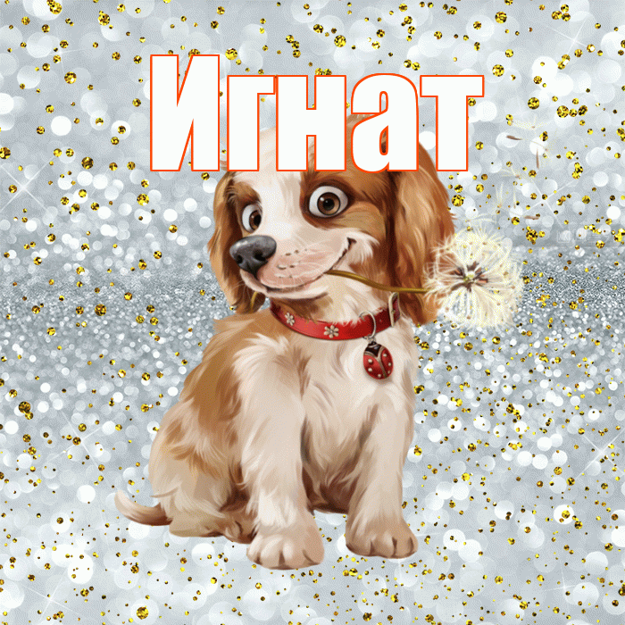 Игнат! С добрым утром! Красивая открытка Игнату!