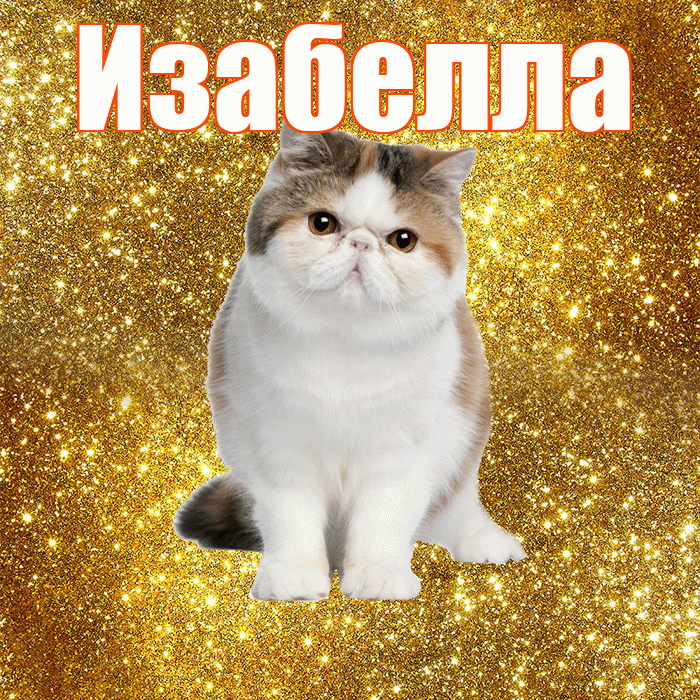 Изабелла! С добрым утром! Красивая открытка Изабелле!