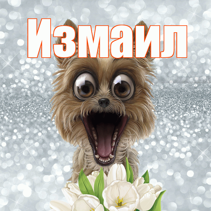 Измаил! С добрым утром! Красивая открытка Измаилу!
