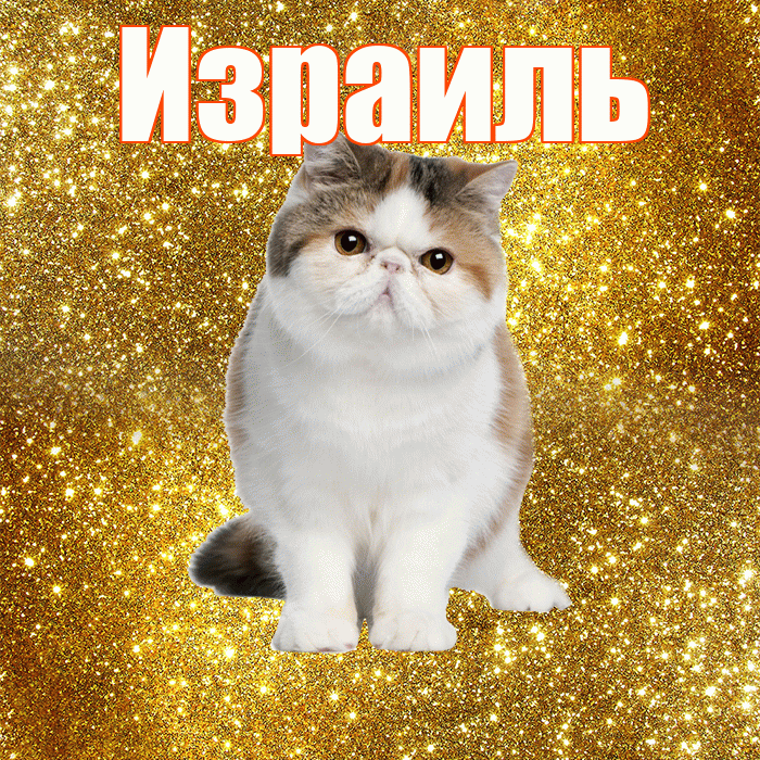 Израиль! С добрым утром! Красивая открытка Израилю!