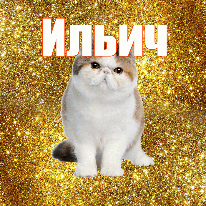 Ильич! С добрым утром! Красивая открытка Ильичу!