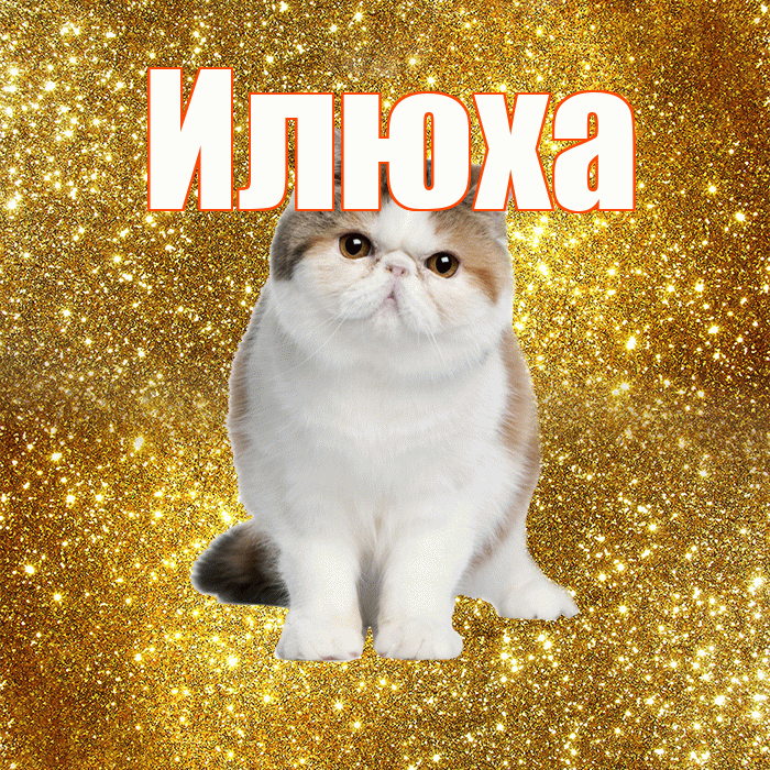 Илюха! С добрым утром! Красивая открытка !