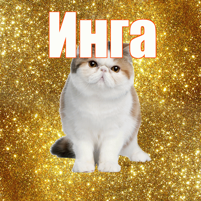 Инга! С добрым утром! Красивая открытка Инге!