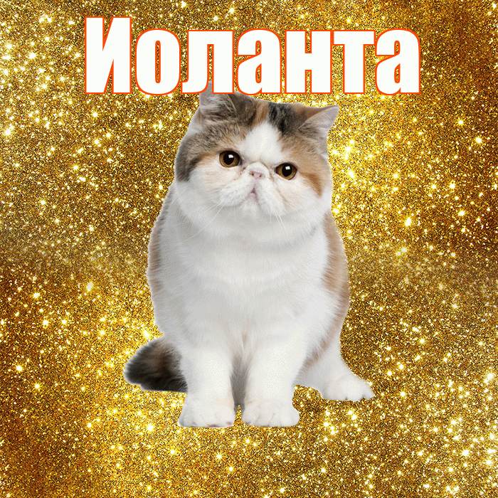 Иоланта! С добрым утром! Красивая открытка Иоланте!