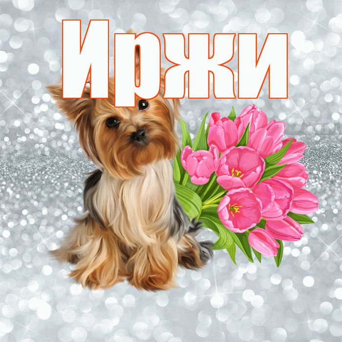 Иржи! С добрым утром! Красивая открытка Иржиевне!