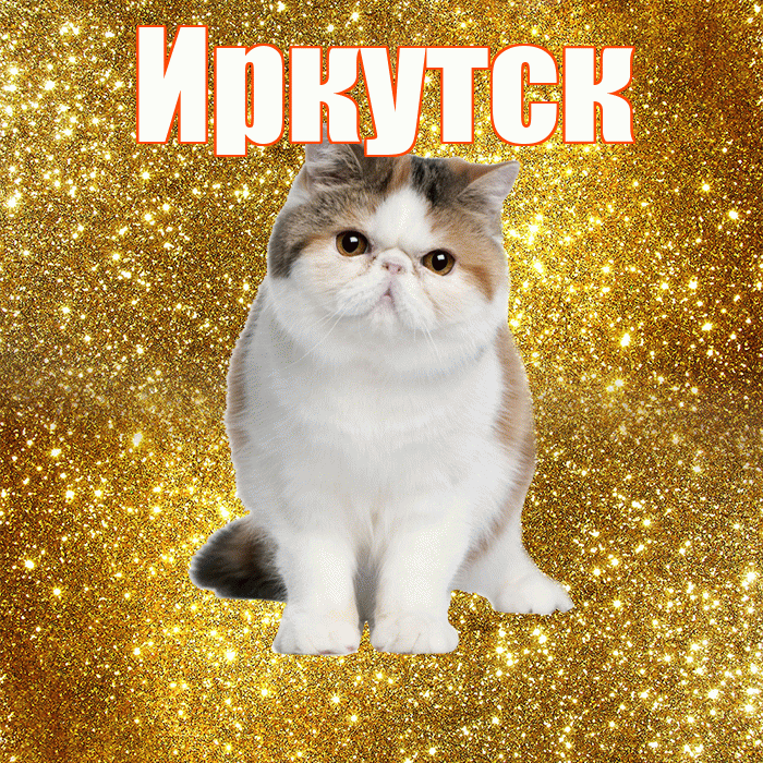 Иркутск! С добрым утром! Красивая открытка Иркутску!