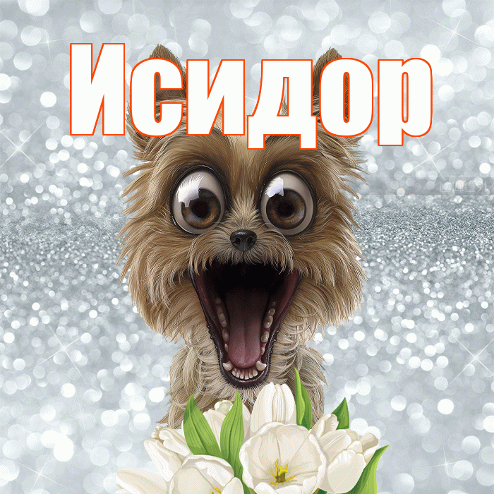 Исидор! С добрым утром! Красивая открытка Исидору!
