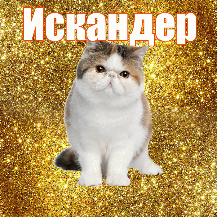 Искандер! С добрым утром! Красивая открытка Искандеру!