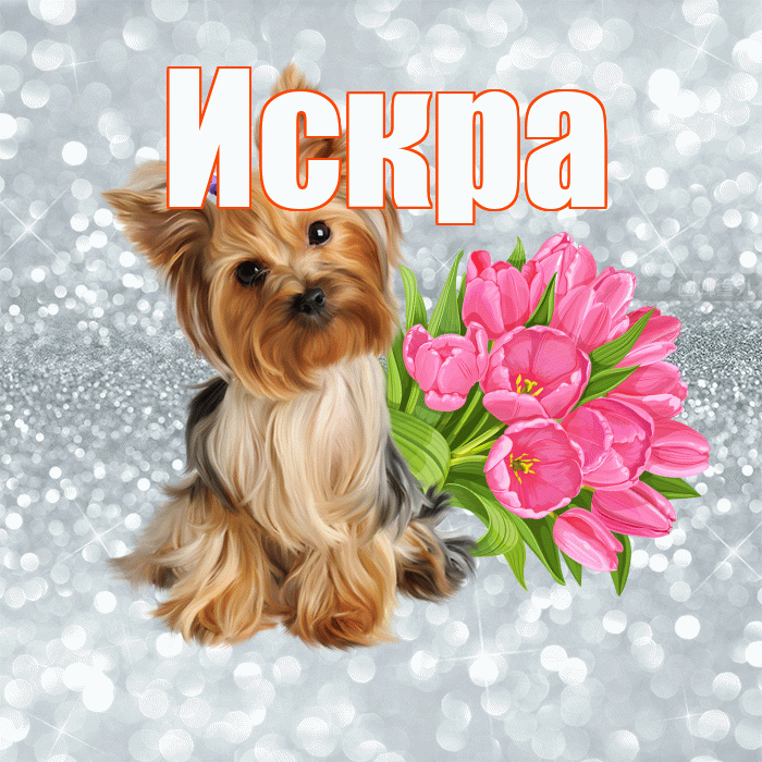 Искра! С добрым утром! Красивая открытка Искре!