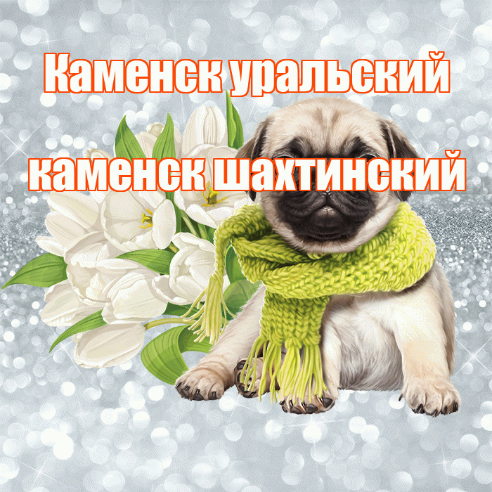 Каменск уральский каменск шахтинский! С добрым утром! Красивая открытка !