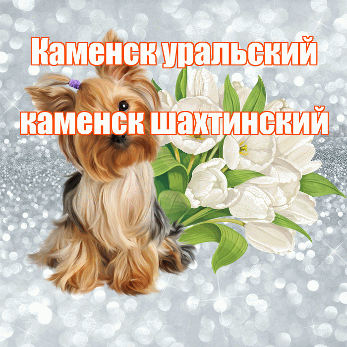 Каменск уральский каменск шахтинский! С добрым утром! Красивая открытка !