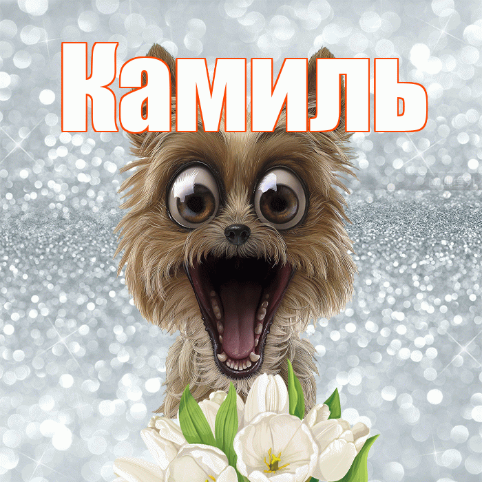 Камиль! С добрым утром! Красивая открытка Камилю!