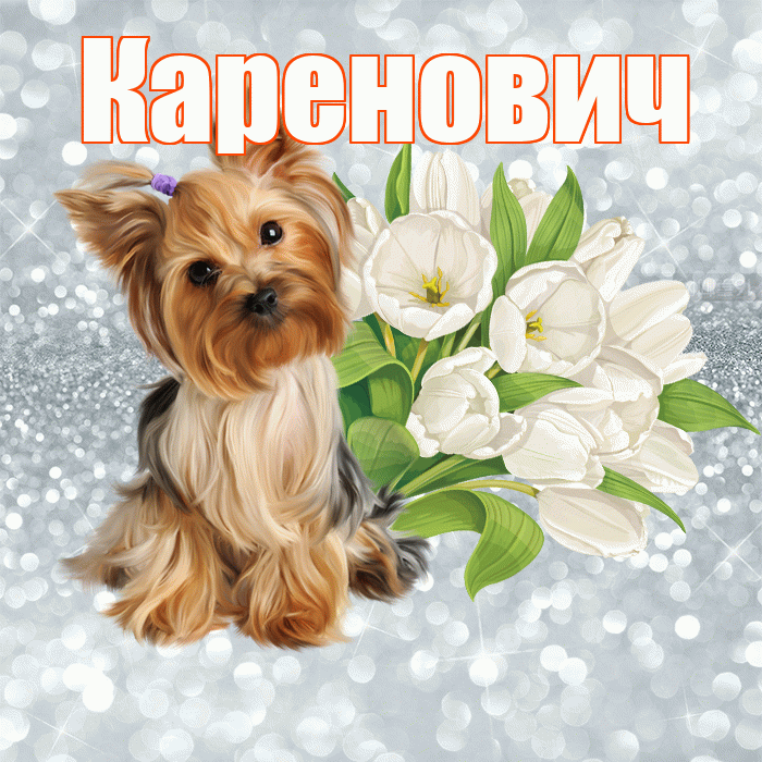 Каренович! С добрым утром! Красивая открытка Кареновичу!