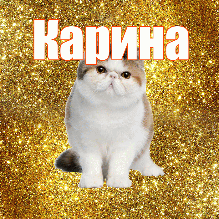 Карина! С добрым утром! Красивая открытка Карине!