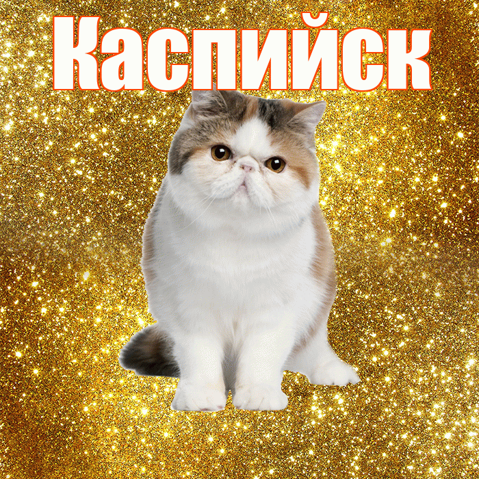 Каспийск! С добрым утром! Красивая открытка Каспийску!