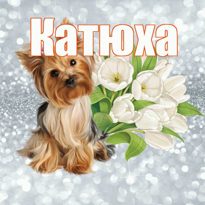 Катюха! С добрым утром! Красивая открытка !