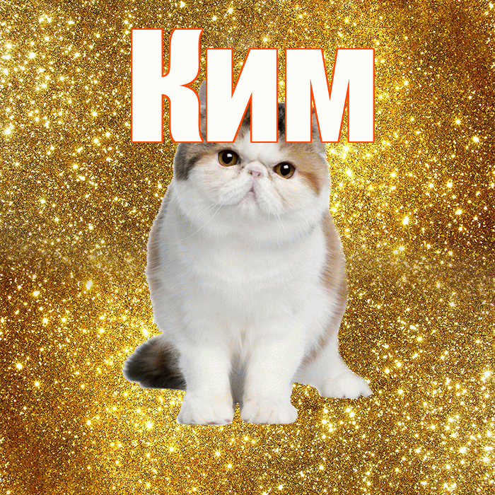 Ким! С добрым утром! Красивая открытка Киму!