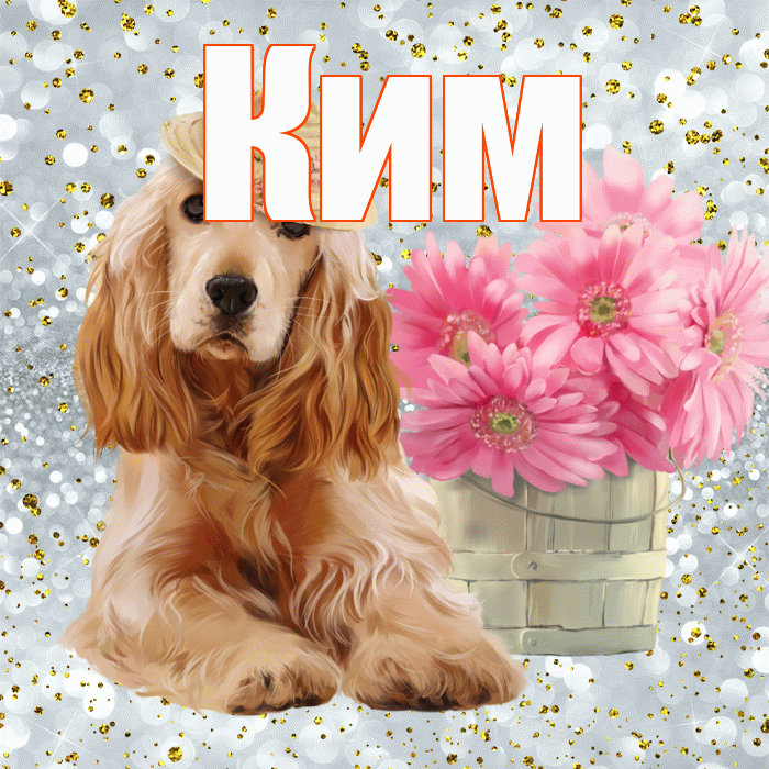Ким! С добрым утром! Красивая открытка Киму!