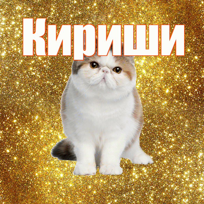 Кириши! С добрым утром! Красивая открытка Кириши!