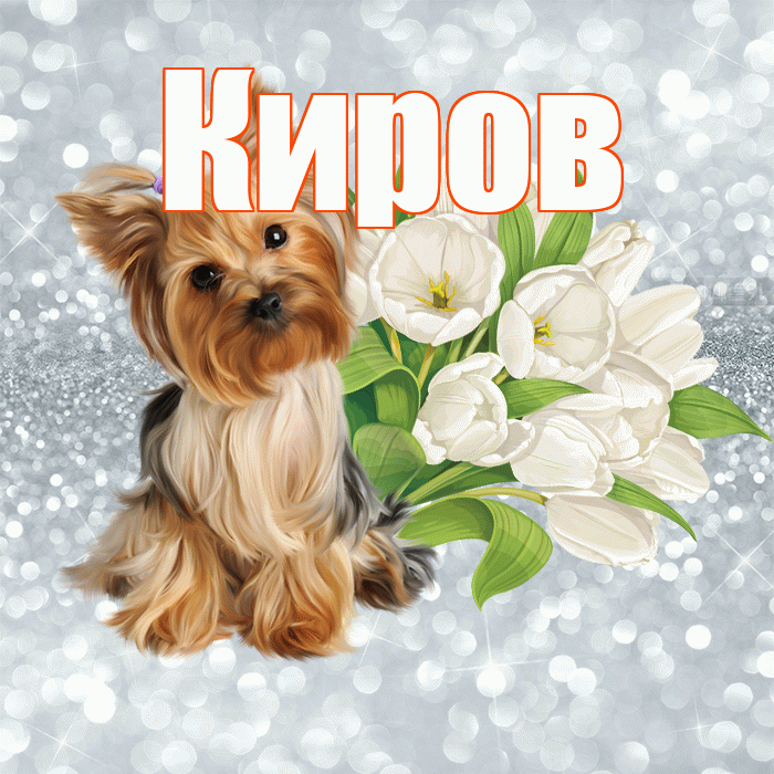 Киров! С добрым утром! Красивая открытка Кирову!