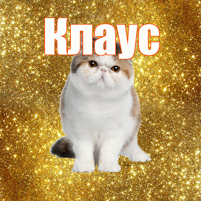 Клаус! С добрым утром! Красивая открытка Клаусу!