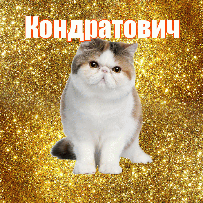 Кондратович! С добрым утром! Красивая открытка Кондратовичу!