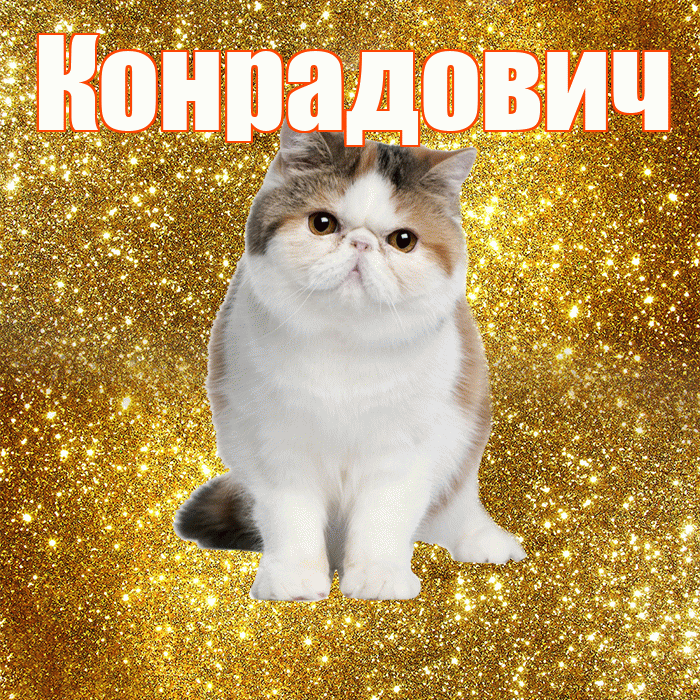 Конрадович! С добрым утром! Красивая открытка Конрадовичу!
