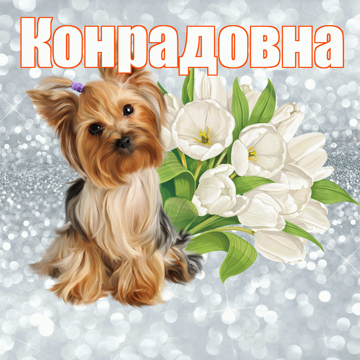Конрадовна! С добрым утром! Красивая открытка Конрадовне!