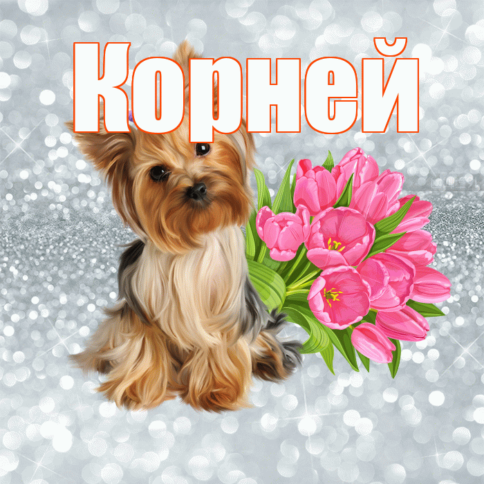 Корней! С добрым утром! Красивая открытка Корнею!