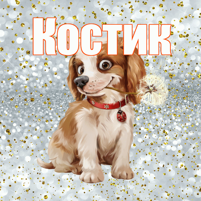 Костик! С добрым утром! Красивая открытка !