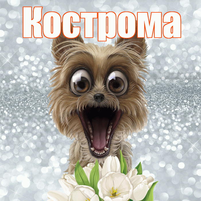 Кострома! С добрым утром! Красивая открытка Костроме!