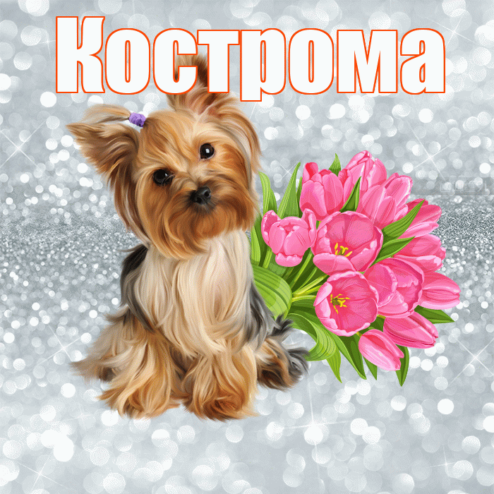 Кострома! С добрым утром! Красивая открытка Костроме!