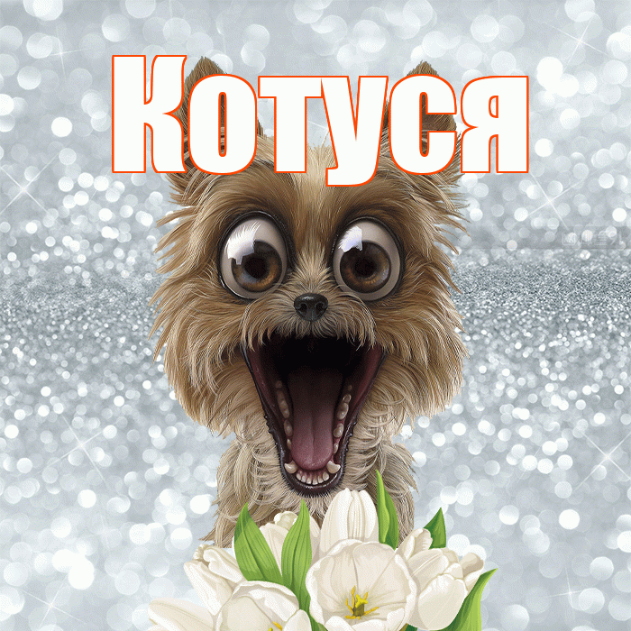 Котуся! С добрым утром! Красивая открытка Котусе!