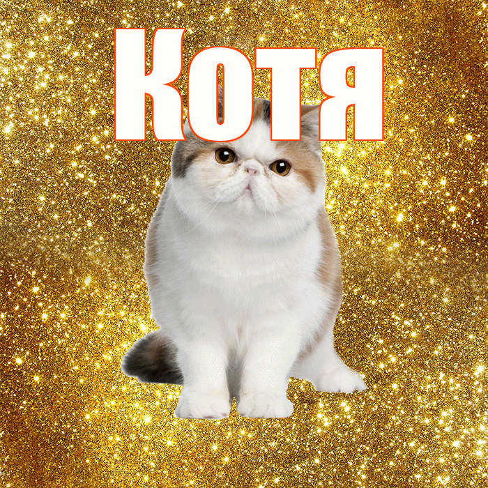 Котя! С добрым утром! Красивая открытка Коте!