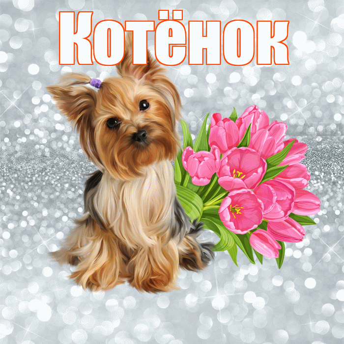 Котёнок! С добрым утром! Красивая открытка !