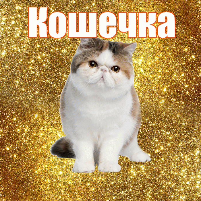 Кошечка! С добрым утром! Красивая открытка Кошечке!