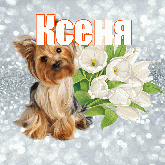 Ксеня! С добрым утром! Красивая открытка !