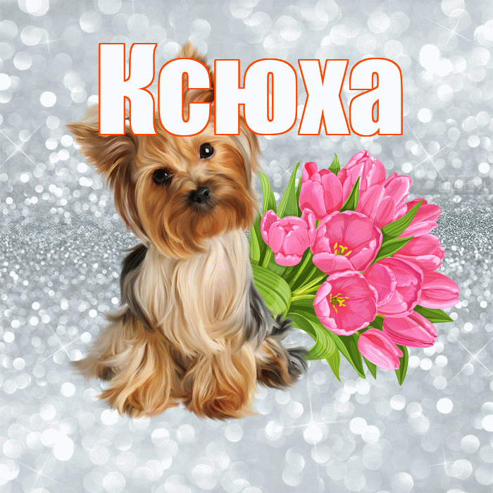 Ксюха! С добрым утром! Красивая открытка !