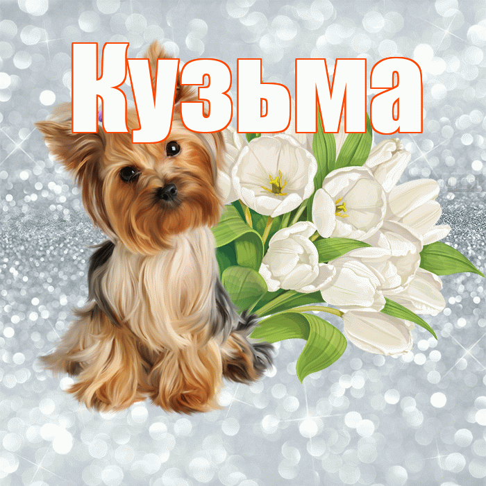 Кузьма! С добрым утром! Красивая открытка Кузьме!