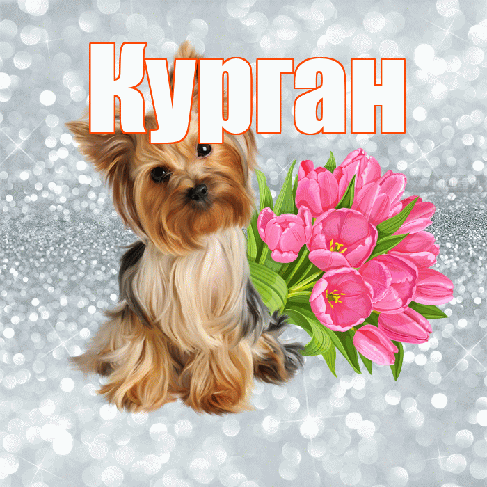 Курган! С добрым утром! Красивая открытка Кургану!