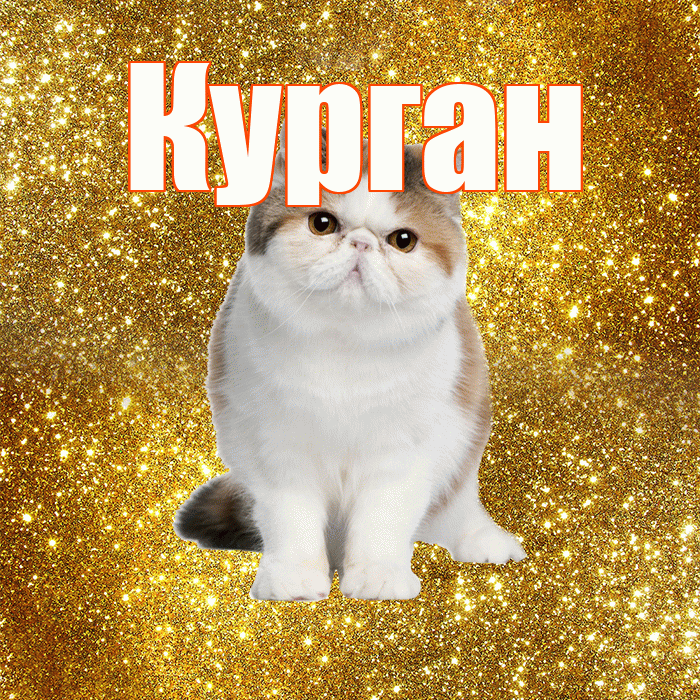Курган! С добрым утром! Красивая открытка Кургану!